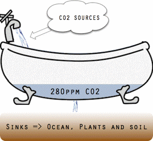 assimilation of carbon dioxide